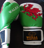Welsh Flag 10oz Boxing Gloves