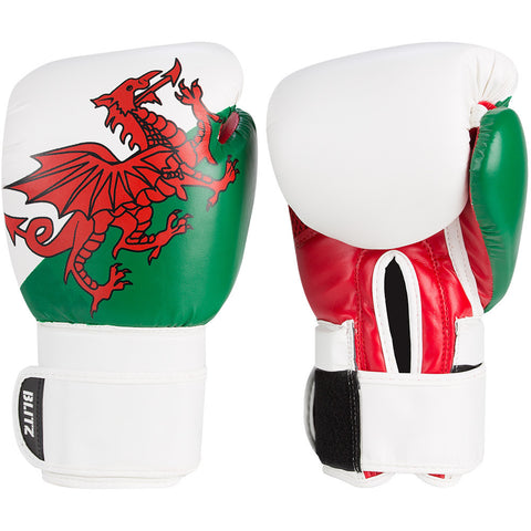 Country 10oz Boxing Gloves Wales