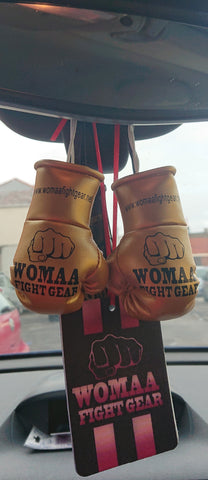 Hanging boxing gloves for car