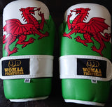 Welsh Flag Points Gloves