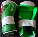 Welsh Flag Points Gloves